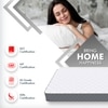 Rizewell Silky Soft with NPSS Tech Single Size Mattress (72 x 36 in, 6 Inches)