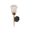 Eliante Modern Wall Lights Mild Steel, Glass & Glass Material Antique,Brown & Golden Finish