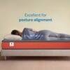 Sleepwell Ortho Pro Mattress Medium Firm Neem Fresche Cool Yarn Fabric Single 72x42x5 Inch