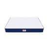 Spine Master with NFF Tech Single Size Mattress (75 x 36 in, 5 Inches)