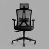 Regalia High Back Mesh Office Chair with Headrest in Black Colour
