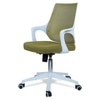 Xeanea Mid Back Ergonomic Chair in Pearl Green Colour