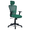 Dreaceo High Back Ergonomic Chair in Dark Green Colour