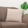 Rio Moonbeam Cotton Cushion Cover 16X16  Inches
