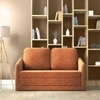Kobi 2 Seater Fold Out Sofa Cum Bed in Burnt Orange Colour