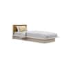 Hexa Engineered Wood Modern Single Bed With Headboard Without Storage In Frosty White And Giant Wood