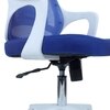 Xeanea Mid Back Ergonomic Chair in Blue Colour