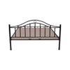 Morris Metal Queen Size Non Storage Bed In Black Finish