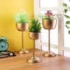 Small Detachable Planter Set Of 3 In Gold Colour