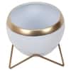 Apple Planter Set Of 2 In White And Gold Colour