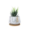 White 1 Pieces Succulent Artificial Plant With Pot
