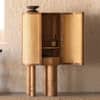 Andaman Jolly Buoy Solid Wood Bar Unit in Brown Colour