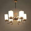 Eliante Chandelier, Mild Steel, 6-Light Modern Ceiling Fixture