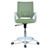 Naamikoa Mid Back Ergonomic Chair in Pearl Green Colour