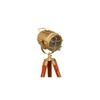 Mirabelle Floor Lamp