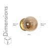 Carter Shine Brass & Amber finish Wall Light