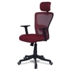 Dreaceo High Back Ergonomic Chair in Maroon Colour
