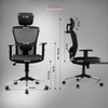 Zeus Study Chair