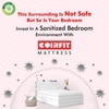 Zone Magno Pocket Pro Spring Mattress (72 x 66 in, 8 Inches)