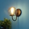 Eliante Modern Wall Lights Mild Steel, Glass & Glass Material Brown,Gold & Champaign Finish
