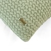Anna Pistachio Green Decorative Cushion Cover 12X20 Inches