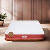 Magic Coir Mattress