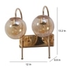 Eliante Modern Wall Lights Mild Steel & Glass Material Gold & Champaign Finish