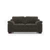 Esquel Premium 2 Seater Fabric Sofa in Smoke Grey Colour
