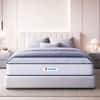 Sleepwell Nexa Plus Premium Mattress Medium Firm Resitec Foam Queen Size 75x70x7 in