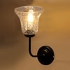 Devansh Metal Electric Wall Light in black Colour with Transparent Shade Count of 1 Light