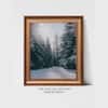 Artistry Winter Pine Trees Canvas Wall Prints Canvas Wall Prints Set of 1 Multicolor Matte