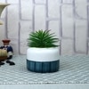 Pristine And Awe-Struck Indoor Faux Plant With Dual Shade Ceramic Pot