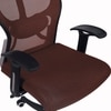 Reaii Mid Back Ergonomic Chair in Brown Colour