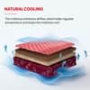Kurlon Rutile Natural Rubberised Coir Straight Pad Medium Firm PU Foam Queen Size Mattress (Thickness: 7 Inches, Dimensions: 78 X 66 Inches)