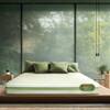 Tatva - Organic Cotton Fabric Latex Mattress (84 x 30 in, 6 Inches)