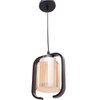 Eliante Hanging Light - Champaign Glass Shade, Mild Steel And Wood, 1-Light Pendant For Modern Decor