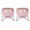 Apple Shape Metal Planter Set Of 2 In Pink And Gold Colour