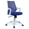 Xeanea Mid Back Ergonomic Chair in Blue Colour