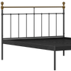 Iver Metal Non Storage King Bed in Satin Black Finish