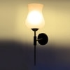 Devansh Metal Electric Wall Light in Black Colour with White Shade Count of 1 Light