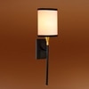 Devansh Metal Electric Wall Light in Black Colour with Multi Shade Count of 1 Light
