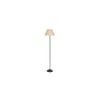 Daniesha Beige Natural Fiber Floor Lamp with Black Iron Base