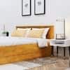 Hexa Engineered Wood Modern Queen Bed With Headboard With Storage In Giant Wood