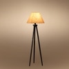 Devansh Tripod Floor Lamp
