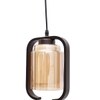 Eliante Hanging Light - Champaign Glass Shade, Mild Steel And Wood, 1-Light Pendant For Modern Decor