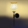 Devansh Metal Electric Wall Light in Black Colour with Multi Shade Count of 1 Light