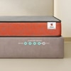 Sleepwell Ortho Pro Mattress Medium Firm Neem Fresche Cool Yarn Fabric Single 75x36x5 Inch