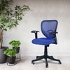 Odrione Low Back Ergonomic Chair in Blue Colour