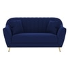 Rivo Velvet 2 Seater Sofa in Navy Blue Color