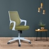 Xeanea Mid Back Ergonomic Chair in Pearl Green Colour